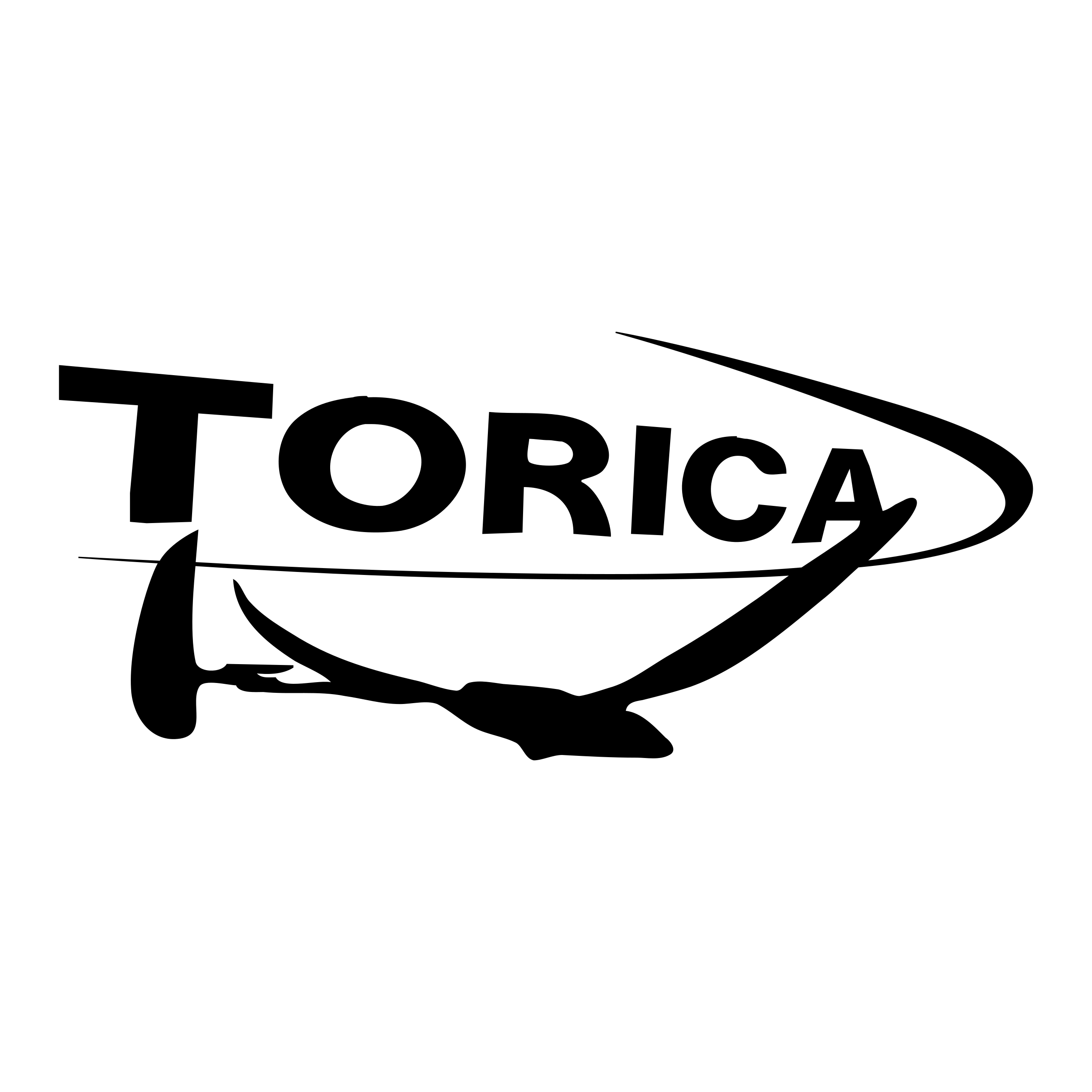 東京理科大学　鳥人間サークル鳥科